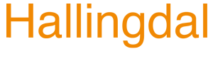 Hallingdal.info – din snarvei til de gode opplevelsene! Logo